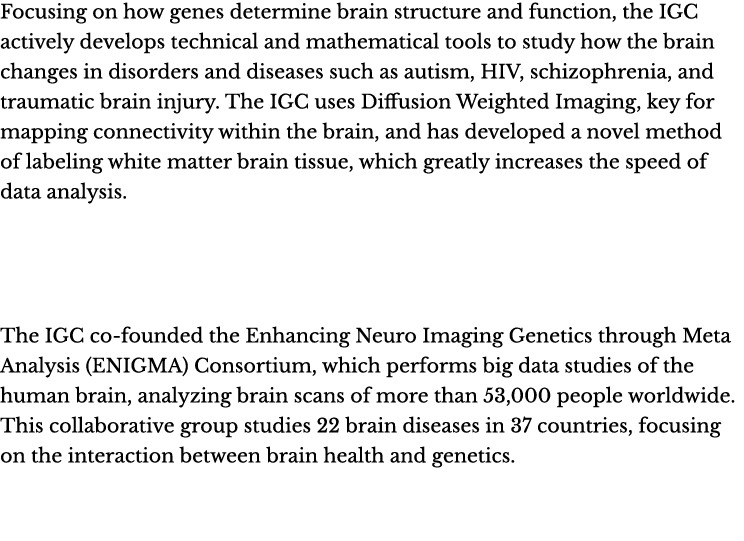 Focusing on how genes determine brain structure and function, the IGC actively develops technical and mathematical to...