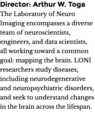 Director: Arthur W. Toga The Laboratory of Neuro Imaging encompasses a diverse team of neuroscientists, engineers, an...