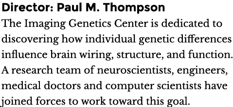 Director: Paul M. Thompson The Imaging Genetics Center is dedicated to discovering how individual genetic differences...