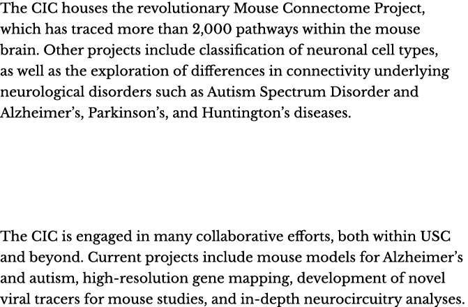 The CIC houses the revolutionary Mouse Connectome Project, which has traced more than 2,000 pathways within the mouse...