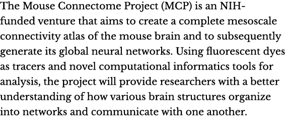 The Mouse Connectome Project (MCP) is an NIH-funded venture that aims to create a complete mesoscale connectivity atl...