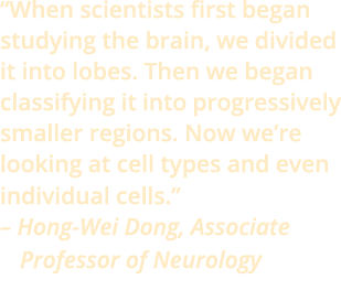 “When scientists first began studying the brain, we divided it into lobes. Then we began classifying it into progress...