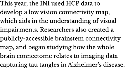 This year, the INI used HCP data to develop a low vision connectivity map, which aids in the understanding of visual ...
