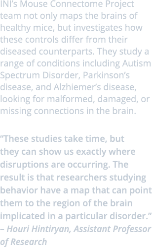 INI’s Mouse Connectome Project team not only maps the brains of healthy mice, but investigates how these controls dif...