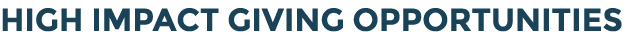 High Impact Giving Opportunities