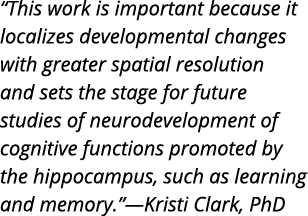  This work is important because it localizes developmental changes with greater spatial resolution and sets the stage   
