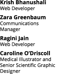 Krish Bhanushali Web Developer Zara Greenbaum Communications Manager Ragini Jain Web Developer Caroline O Driscoll Me   