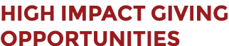 High Impact Giving Opportunities