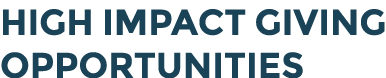 High Impact Giving Opportunities