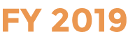 FY 2019
