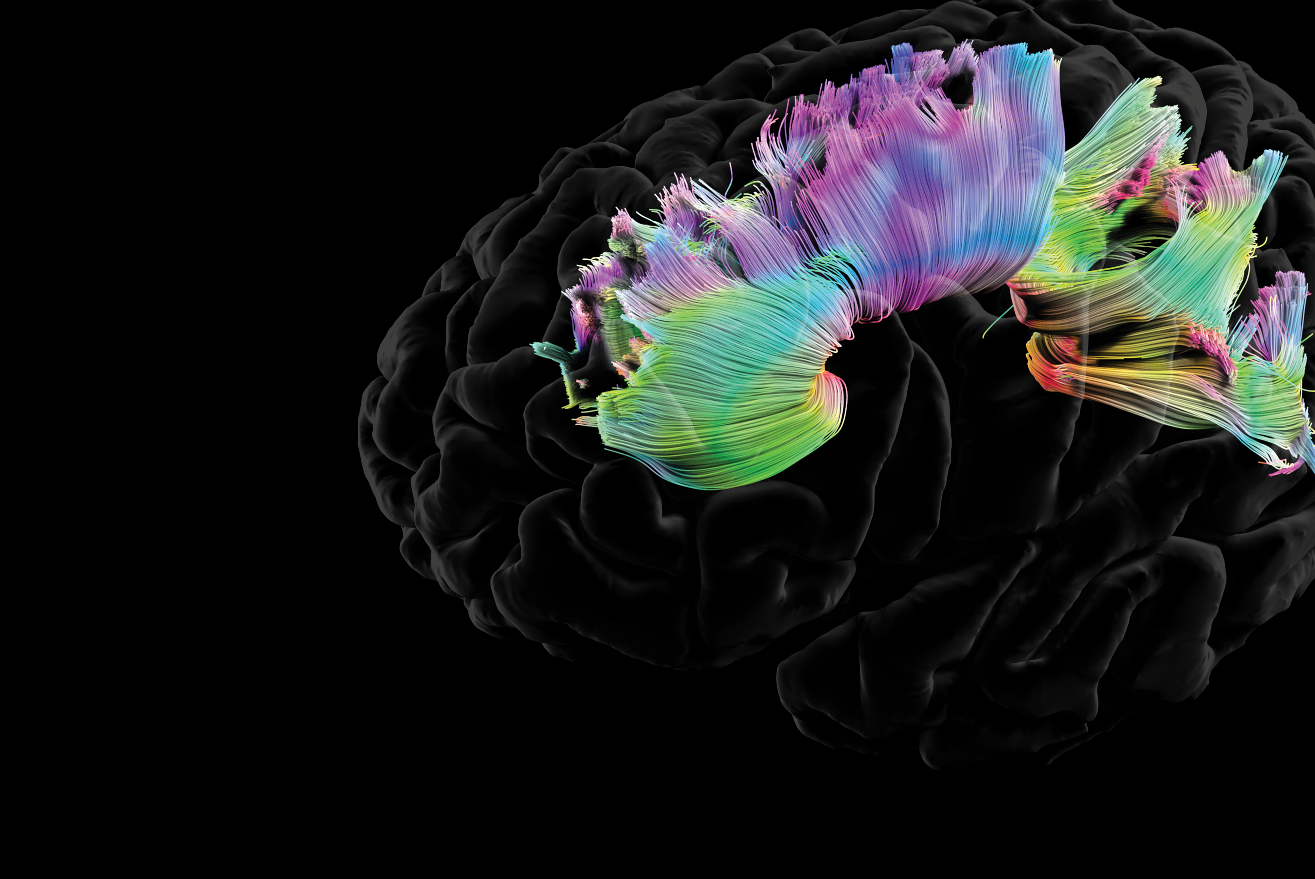 Fusion Studio TIFF File