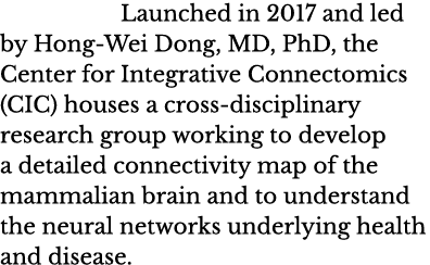 Launched in 2017 and led by Hong-Wei Dong, MD, PhD, the Center for Integrative Connectomics (CIC) houses a cross-disc   