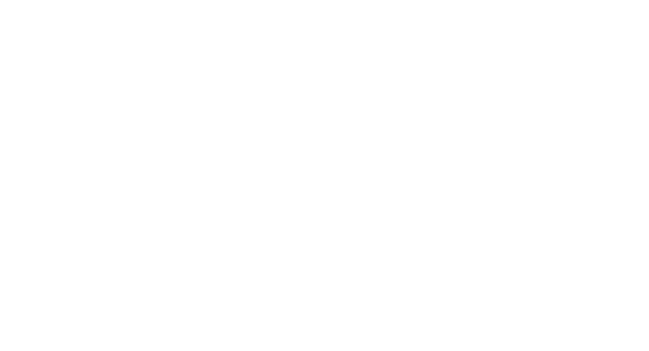  At the CIC, our major goals are to construct a whole-brain wiring diagram in the next five years, to characterize ne   