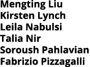 Mengting Liu Kirsten Lynch Leila Nabulsi Talia Nir Soroush Pahlavian Fabrizio Pizzagalli 