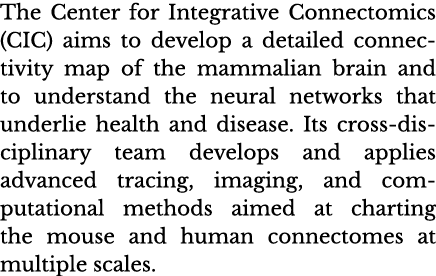 The Center for Integrative Connectomics (CIC) aims to develop a detailed connectivity map of the mammalian brain and    