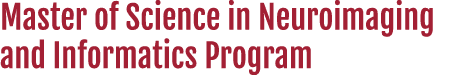 Master of Science in Neuroimaging and Informatics Program