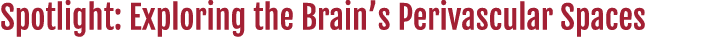 Spotlight: Exploring the Brain s Perivascular Spaces