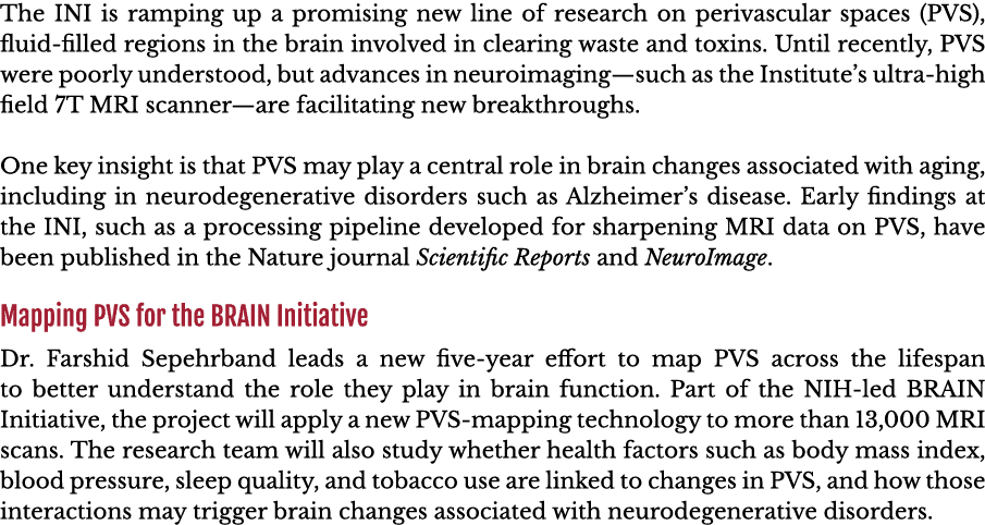 The INI is ramping up a promising new line of research on perivascular spaces (PVS), fluid-filled regions in the brai   