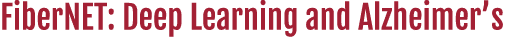 FiberNET: Deep Learning and Alzheimer s