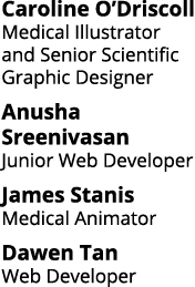 Caroline O Driscoll Medical Illustrator and Senior Scientific Graphic Designer Anusha Sreenivasan Junior Web Develope   