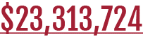  23,313,724