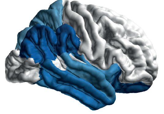 Figure3AB_HY_Staging_Cortical_Results 3 orig png