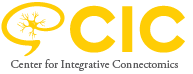 cic