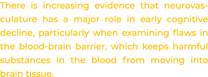 There is increasing evidence that neurovas culature has a major role in early cognitive decline, particularly when ex...