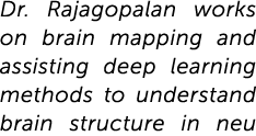 Dr. Rajagopalan works on brain mapping and assisting deep learning methods to understand brain structure in neu