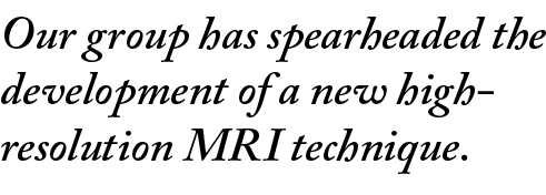 Our group has spearheaded the development of a new high-resolution MRI technique.