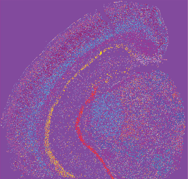 purple Mike image.png