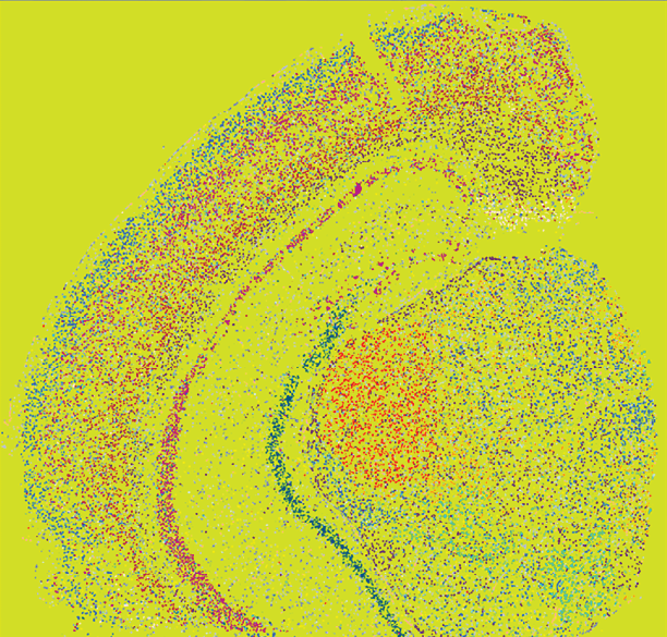 yellow Mike image.png