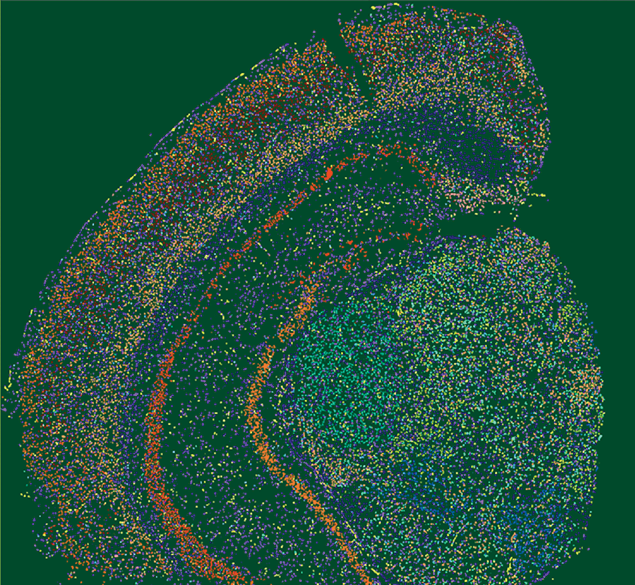 green Mike image.png