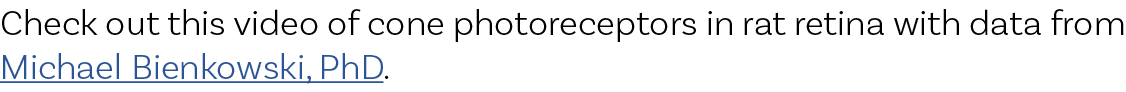 Check out this video of cone photoreceptors in rat retina with data from Michael Bienkowski, PhD.