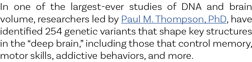 In one of the largest-ever studies of DNA and brain volume, researchers led by Paul M. Thompson, PhD, have identified...
