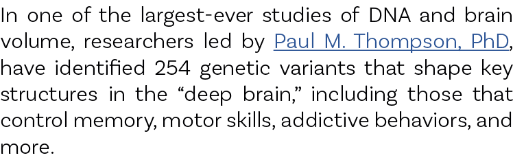 In one of the largest-ever studies of DNA and brain volume, researchers led by Paul M. Thompson, PhD, have identified...