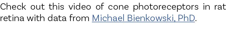 Check out this video of cone photoreceptors in rat retina with data from Michael Bienkowski, PhD.